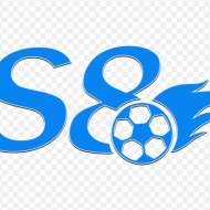 S 8