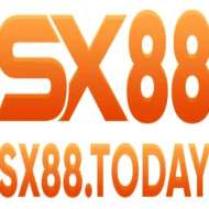 Sx88 today