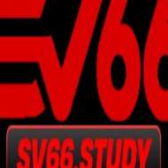 Sv66 study