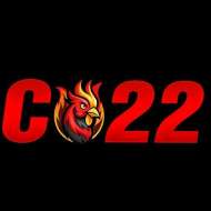 C22 ONE