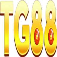 Tg88ny com
