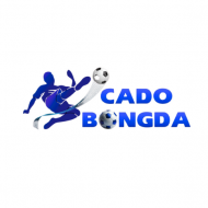 CÁ ĐỘ BÓNG ĐÁ