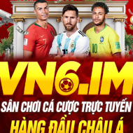 VN6 BNEW