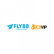 fly88cscn com