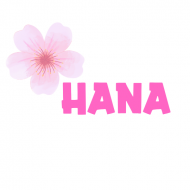 Hoa Khô Hana