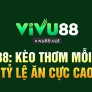 Vivu88 cat