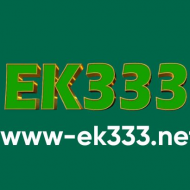 EK333 Net