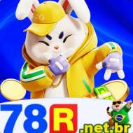 78r net br