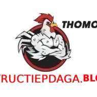ĐÁ GÀ TRỰC TIẾP BLOG