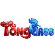 TỔNG GÀ 88