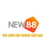 New88 diy