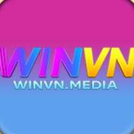 Winvn media