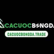 Cacuocbongda trade