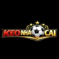 keonhacai55 futbol