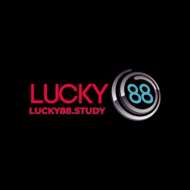 LUCKY88 STUDY