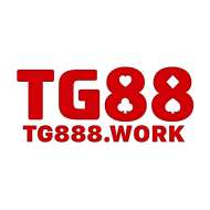 Tg888 work