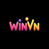 winvn18 co com