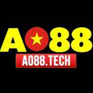 AO 88