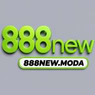 888new moda