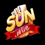 Sun08 win