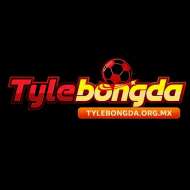 Tylebongda org mx