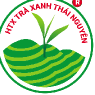 Trà Thái Nguyên Tân Cương