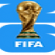 Lichthidauworldcup2026 org