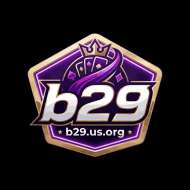 B29 us org