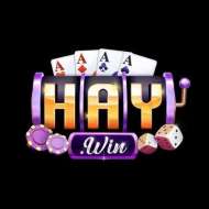 Haywin vipcom