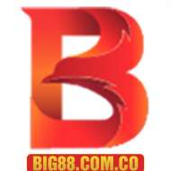 big88 com co
