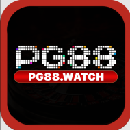 Pg88 watch