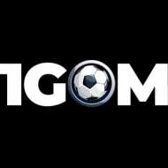 1GOM36 IO