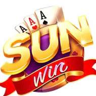 Sunwin01 Net