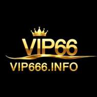 vip666 info