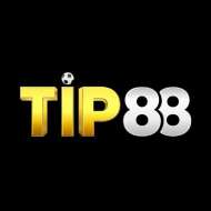 TIP88 vipnet