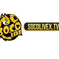 SOCOLIVEX TV