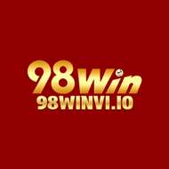 98winvi io