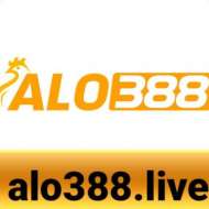 Alo388 Live