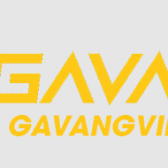 Gavang tv