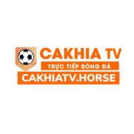 Cakhiatv horse