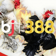 Nhà cái BJ388