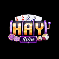 2Haywin com