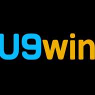 U9win vin
