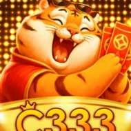c333