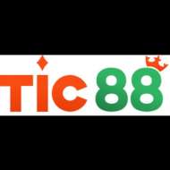 TIC88 art