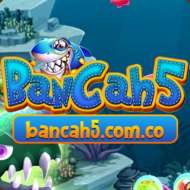 Bancah5 comco