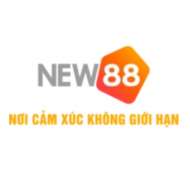 NEW88 nhà cái