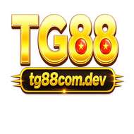 Tg88com dev