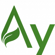 Ayuzera Official