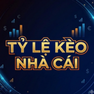 Hướng Dẫn Xem Tỷ Lệ Kèo Nhà Cái